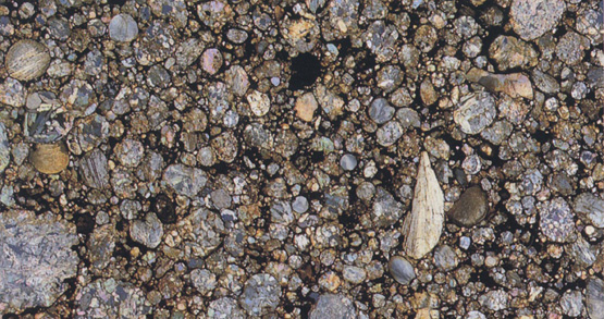 球粒陨石的切片,不难发现它是由很多球形颗粒组成的.