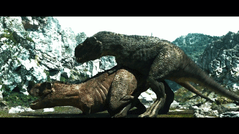 本文首发于微信公众号:恐龙猎人邢立达,id:dinoccs 松鼠後id