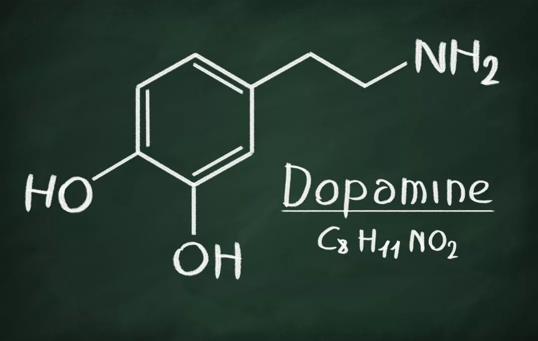 多巴胺分子丨图虫