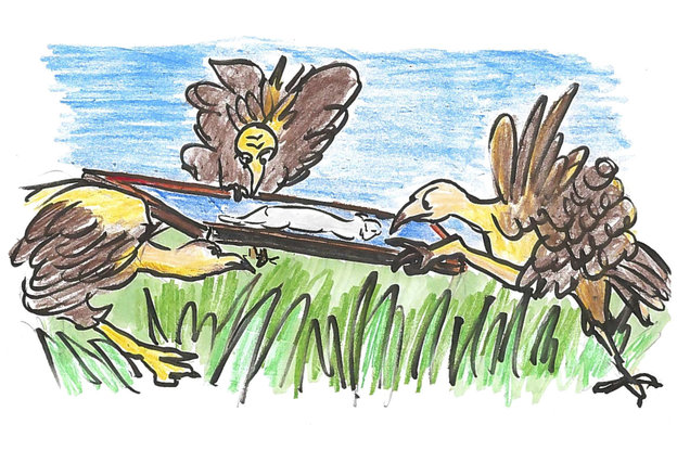 vulture7.jpg