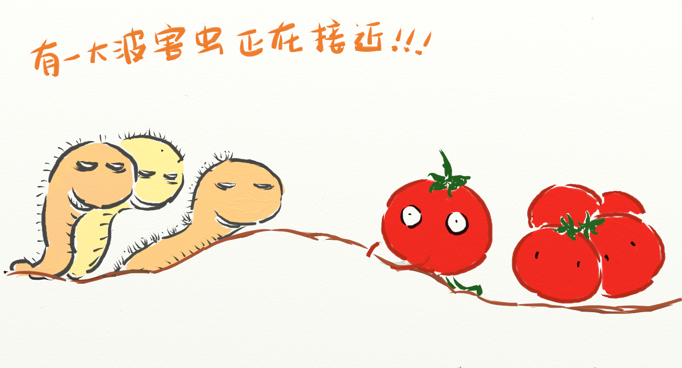 tomato1.png