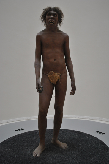 直立人的复原模型，他们是第一种在身高上可以与现代人类一较高下的原始人类。图片：smelieli/Flickr
