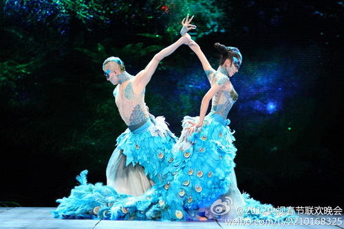 虽然舞者一男一女，但二位的尾羽都这么华丽，要自然控们相信你俩是一雄一雌真的有点儿困难。图：weibo.com