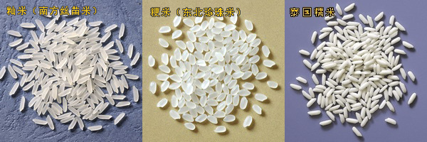 籼稻和粳稻是亚洲栽培稻种的两个亚种，糯稻是一个农学品种的分类，其中又有籼糯和粳糯之分。图/granlux.com