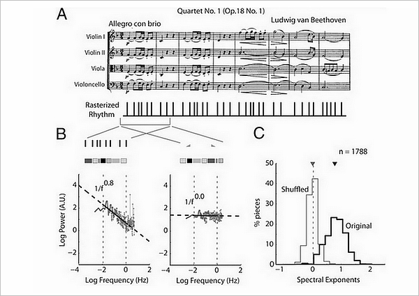 （图 2）对贝多芬四重奏的乐段节选进行节奏分析，A 为乐谱，B 为 1/f 分布，C 为 1/f 的指数化处理，得到类似于正态分布的结果。[2]