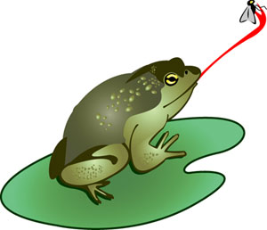 青蛙捕食飞行中的昆虫。图片来源：wpclipart.com