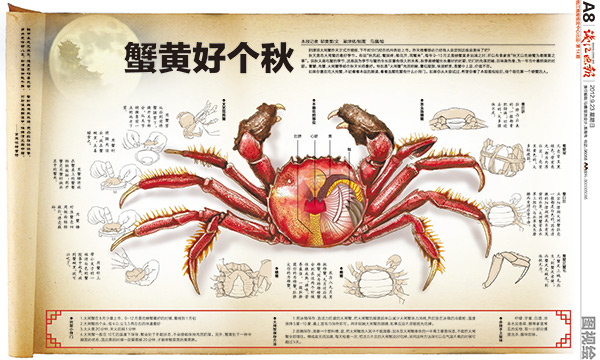 海蟹品种大全图及做法图片
