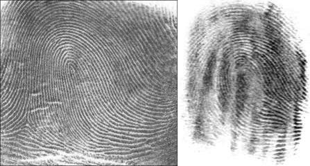 左侧为警局录入的指纹，右侧为现场发现的指纹（图：Wiki）