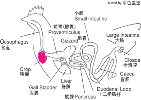 /gkimage/h5/84/c6/h584c6.png