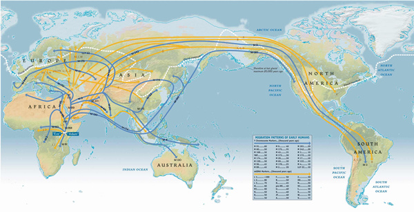 对于人类进化来说,科学家们最感兴趣也最方便研究的是两条dna,一个是