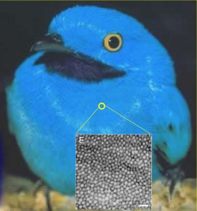 http://guokr.com/gkimage/ix/h2/iu/ixh2iu.png