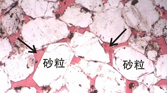 图中的白色颗粒为石英颗粒或长石颗粒，浅红色部分则是砂粒（更专业地说：碎屑颗粒）间的孔隙，这些孔隙就是石油储藏的地方。