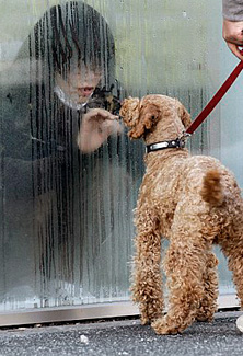 【地震特辑】劫后余生| 果壳 科技有意思