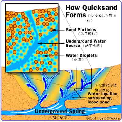 流沙的形成：地下水对沙粒的液化作用。图片来自：howstuffworks.com