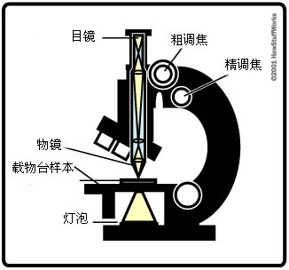 /gkimage/q9/o0/0g/q9o00g.png