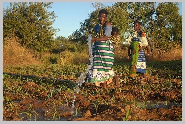 非洲农业现代化，将显著改善非洲妇女的生活情况。（图片：blog.usaid.gov）