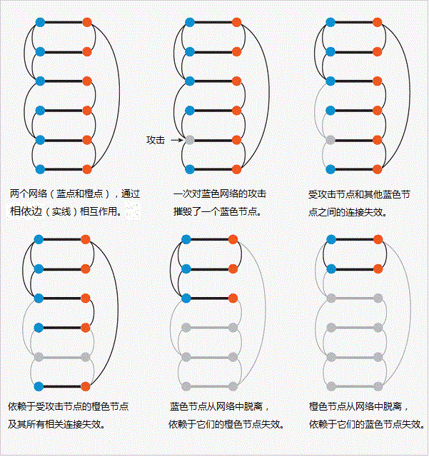当一个网络依赖于其他网络时，比如通讯网络依靠电网运行，故障能够在两者之间来回传递。这种行为也许能够解释关联系统的突然崩溃。这样，对单独一个节点的攻击可能把一个最初有12个运行节点的超级网络（上图）缩减到只剩下4个节点。图片：S.V. Buldyrev et al/Nature 2010, adapted byT. Dubé