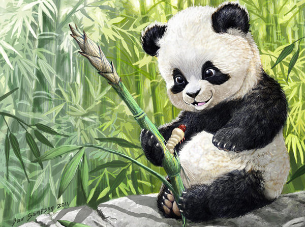 大熊猫挑竹子有讲究，吃货们对待竹笋，也是力求“鲜嫩”。 图/deviantart.com