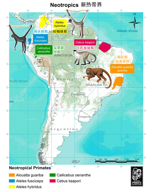 南美洲动物分布图图片