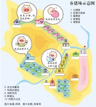 网易提供的养猪场示意图。从这张图可以看到,该猪场可谓依山傍水,环境优雅。